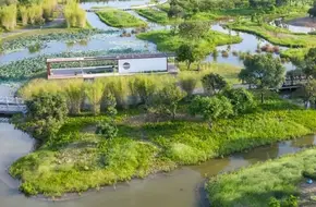 Flower Creek (Haizhu National Wetland Park)