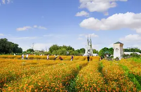 Haizhu National Wetland Park