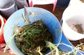 Shisanyong Aquatic Products Center