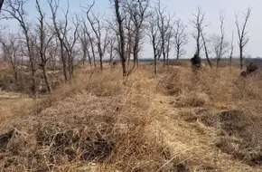 Ji'Mo Ancient City Site