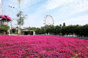 Huadu Aroma World