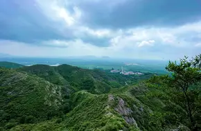 Half Tofu Mountain