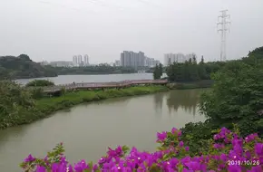 Lingnan Garden