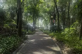 Huadu Ma'Anshan Park