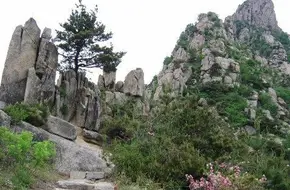 Dongshi