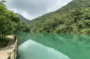 Wangzi Mountain Forest Park