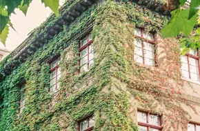 Qingdao Art Museum