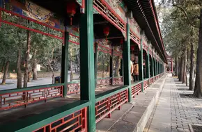Qingyao Ting