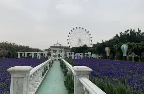 Lavender Eden