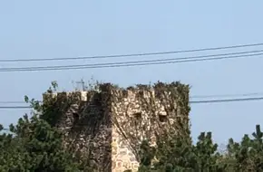 Tingzilan Battery