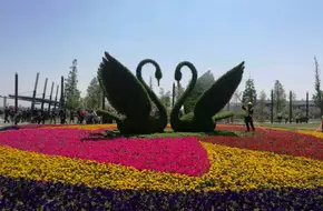 Shandong Shaohai National Wetland Park