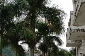 Lake View Resort