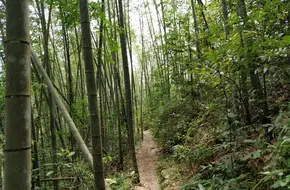 Jizhen Mountain