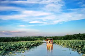 Nansha Wetland Park