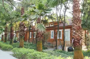 Herb World Lavender Garden