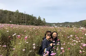 Badaohecun