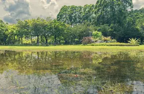 Dajiao Mountain Coastal Park
