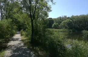 Guīruì Riverbank