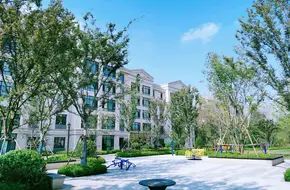 Cangma Mountain Resort