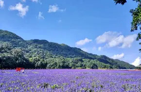 Shimen National Forest Park