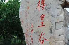 Jiaonan Cherry Emperor Valley Scenic Area
