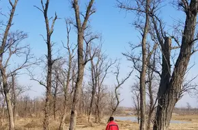 Ji'Mo Ancient City Site