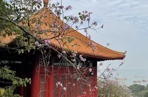 Nansha Bay