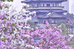 Haizhu Lake Park