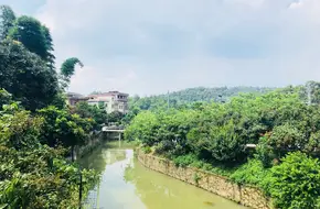 Timianzhen