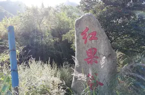 Red Fruit Valley