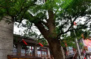 Xishuiyu Scenic Area