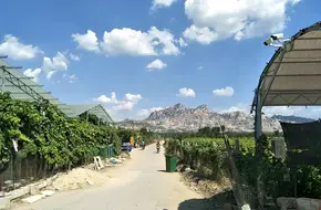 Dazeshan Scenic Area