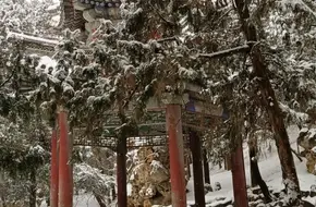 Jade Ripple Gate