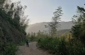 Yingcun