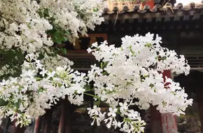 Xunyun Pavilion