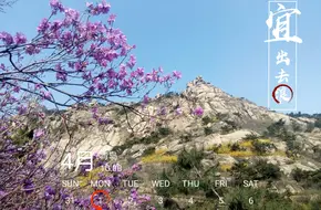 Flower Viewing Cloud Path