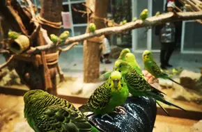 City Of Nature Indoor Zoo