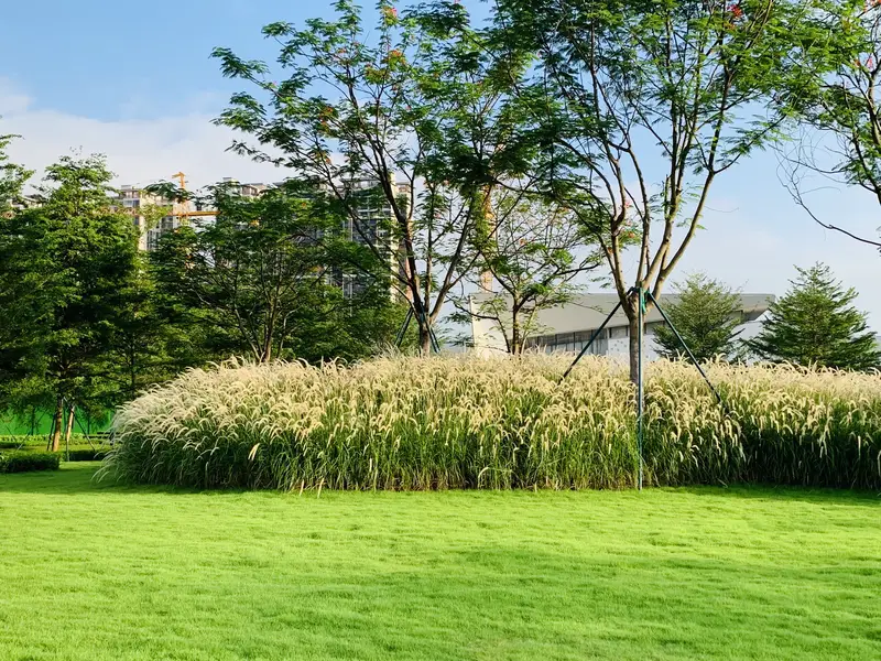 Asian Games Cultural Village