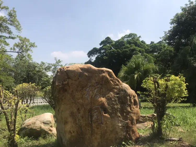 Banyan Garden