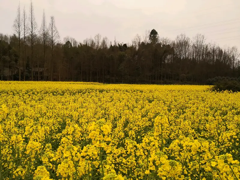 Wugen Mountain