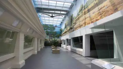 Qingdao Binhai University World Animal Natural Ecology Museum