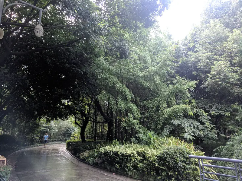 Jinniu Park