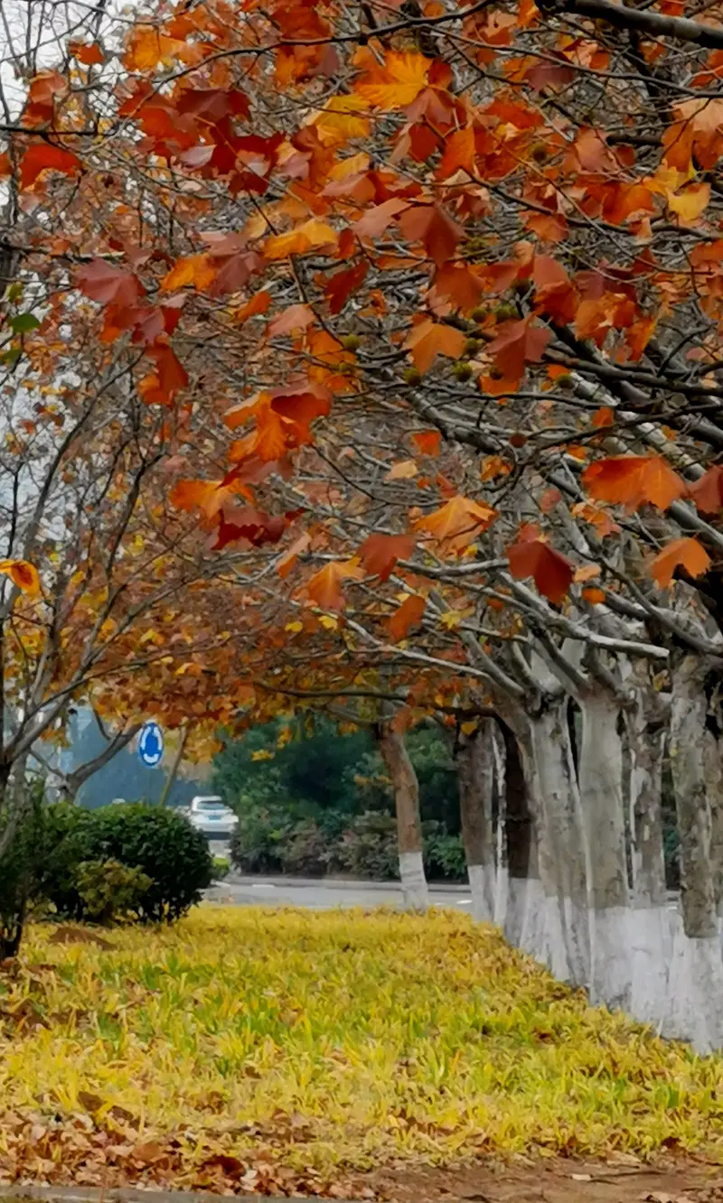 Ruo Shui Garden