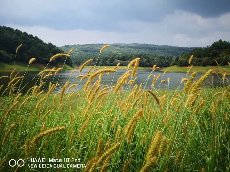 Songhua Reservoir