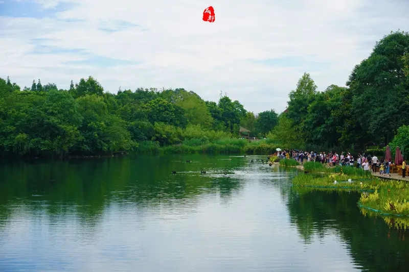 Chengdu Research Base Of Giant Panda Breeding-Swan Lake