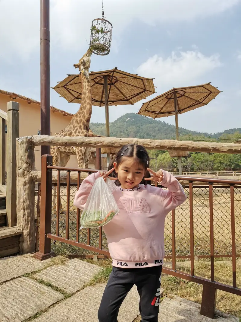 Qingdao Forest Wildlife World-Flamingo Pavilion