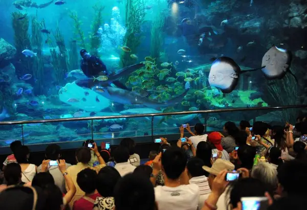 Marine Life Museum