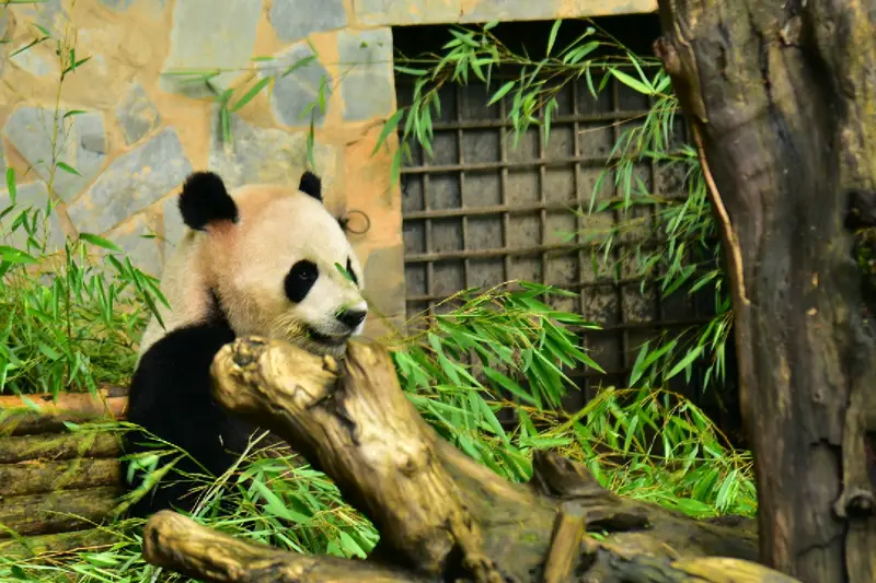 Yunnan Wildlife Park