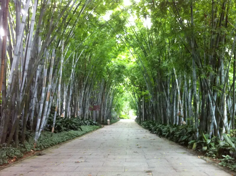 Huanghuagang Park