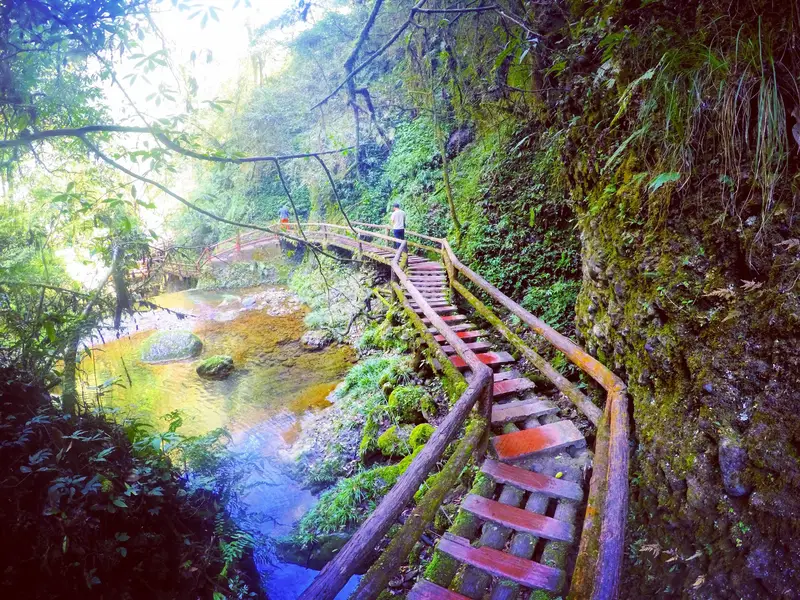 Hidden Dragon Gorge Plank Road